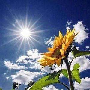 Meet your Posher, Miranda